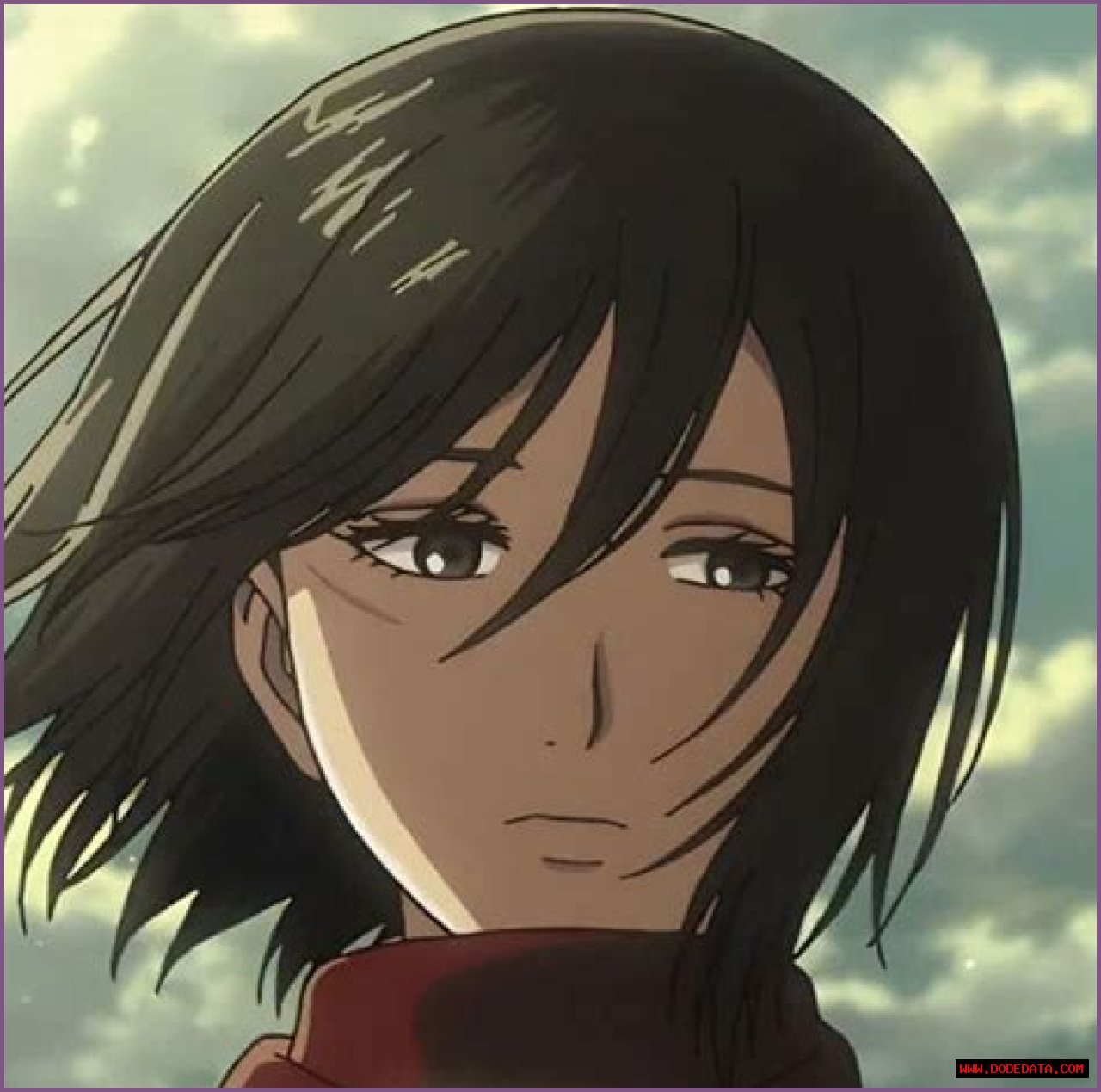 A Comprehensive Guide To Mikasa Ackerman From Attack On Titan