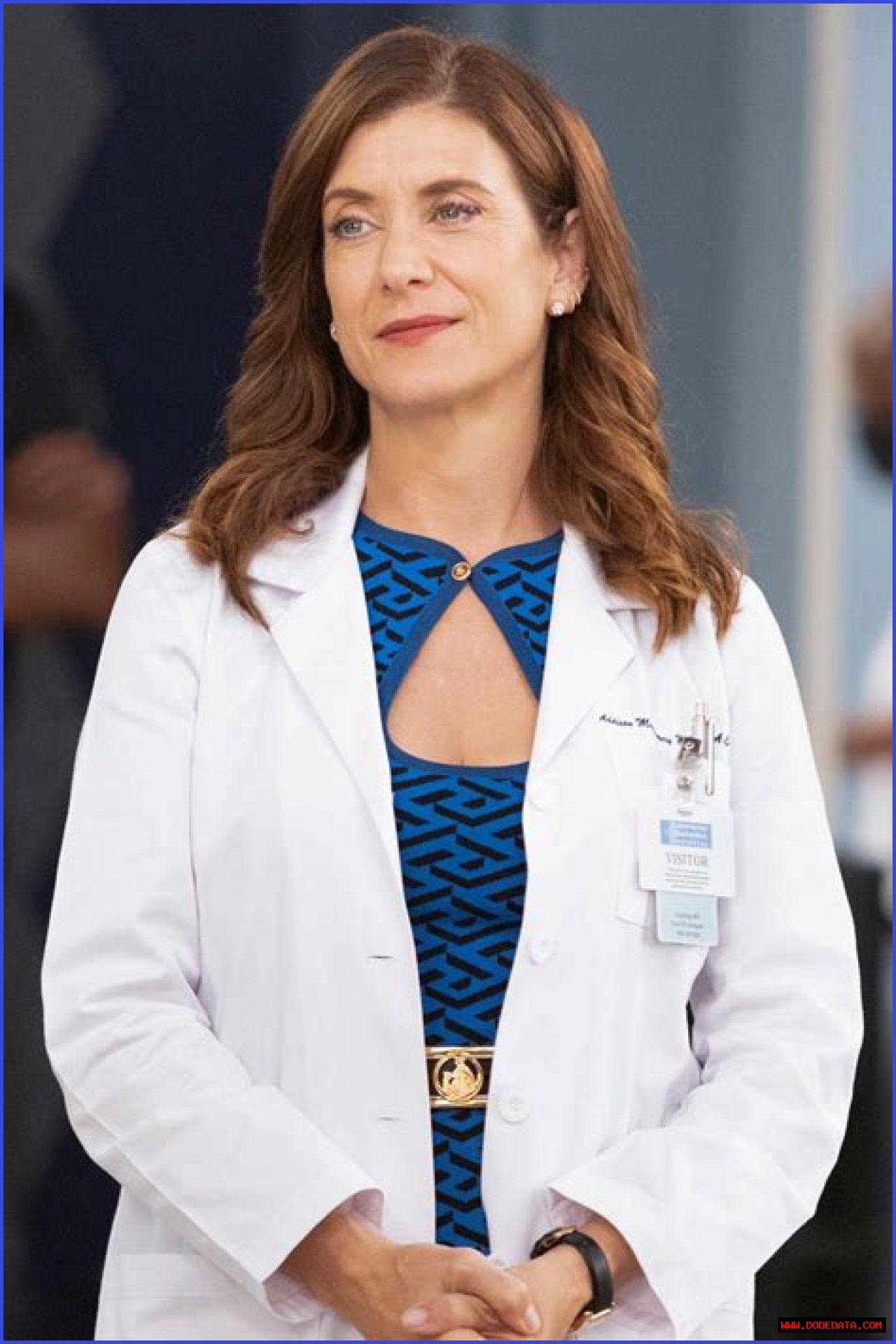 Addison Montgomery: The Journey Of A Grey's Anatomy Icon