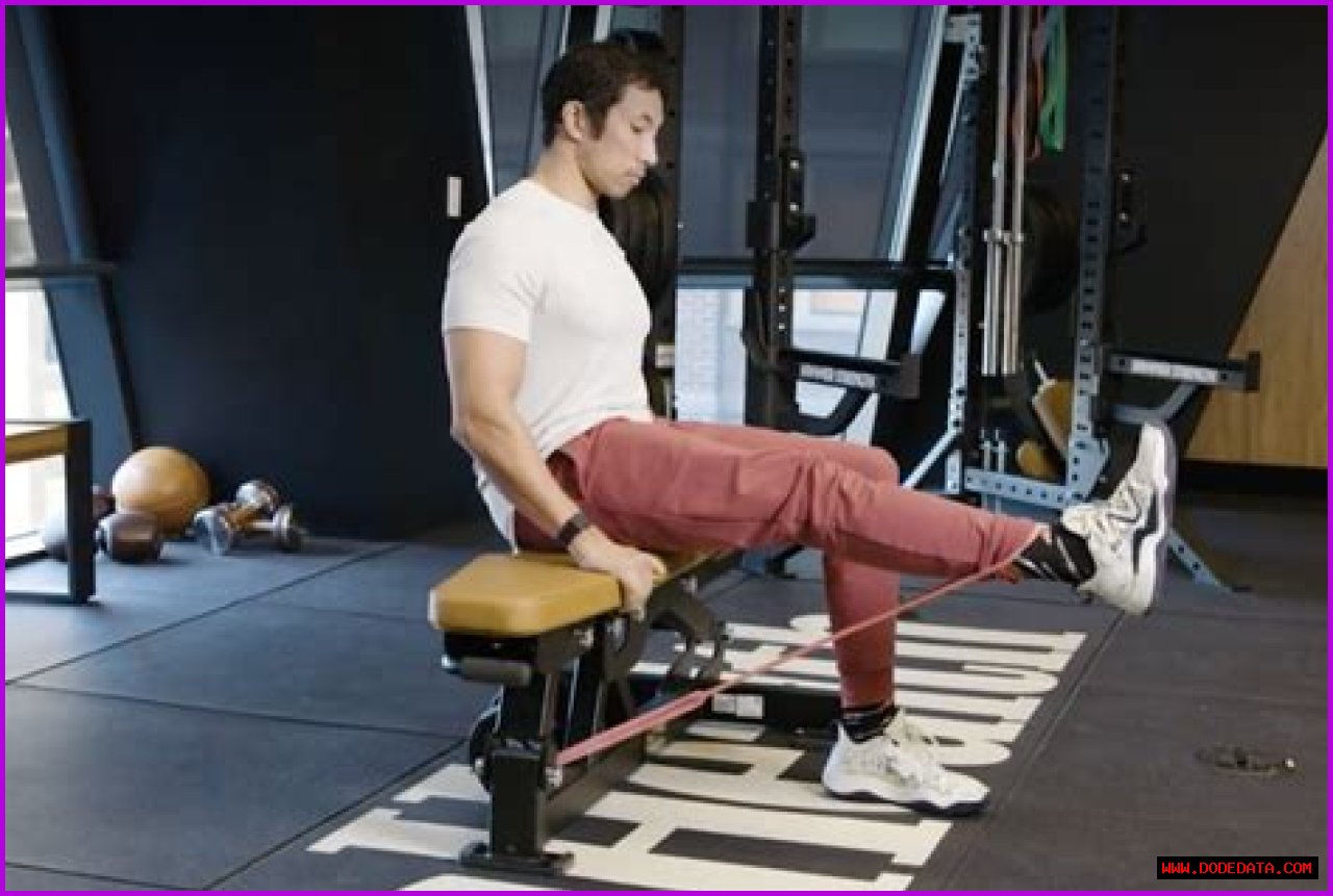 Discovering Effective Leg Extension Alternatives For Your Workout Routine