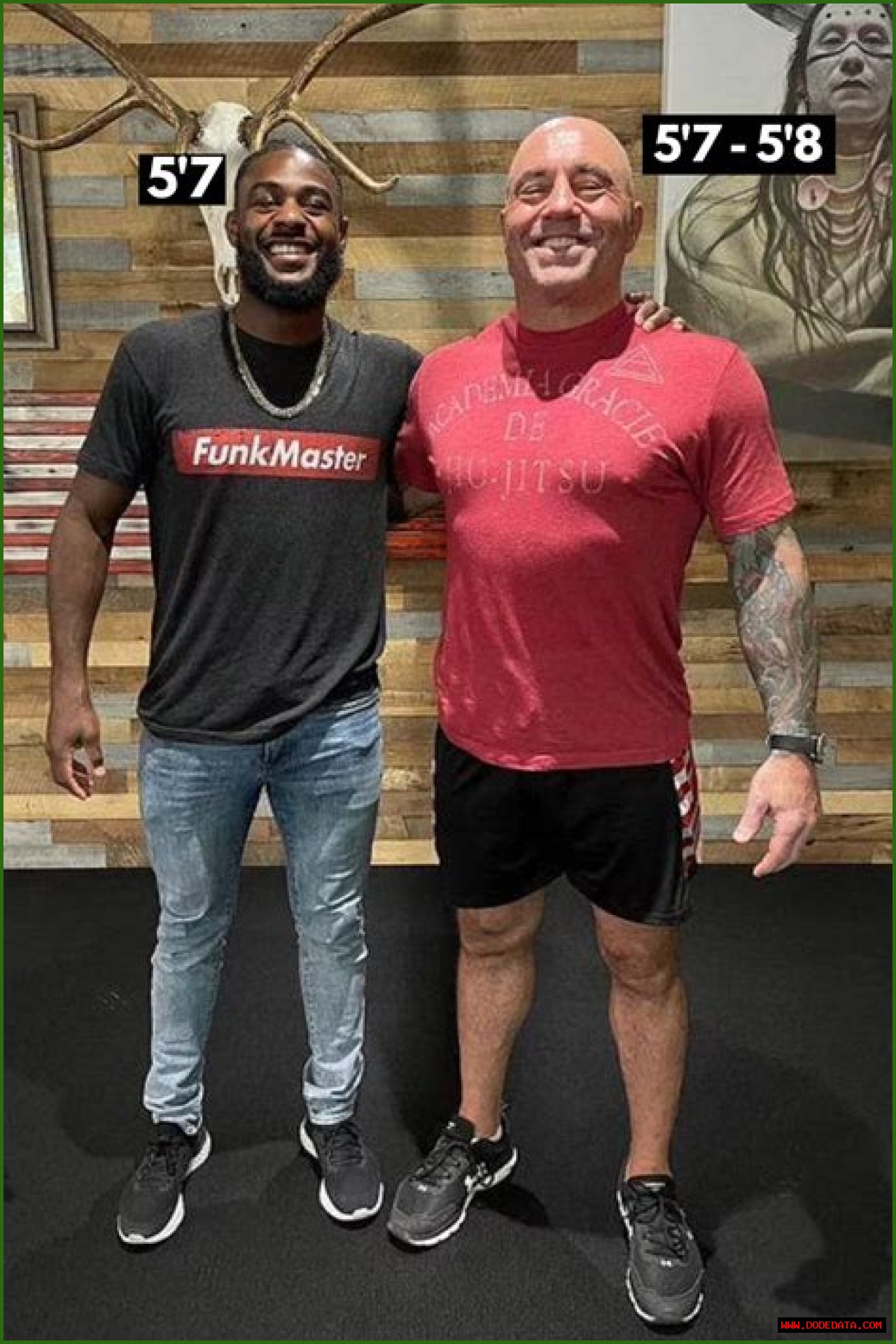Joe Rogan Height: Everything You Need To Know