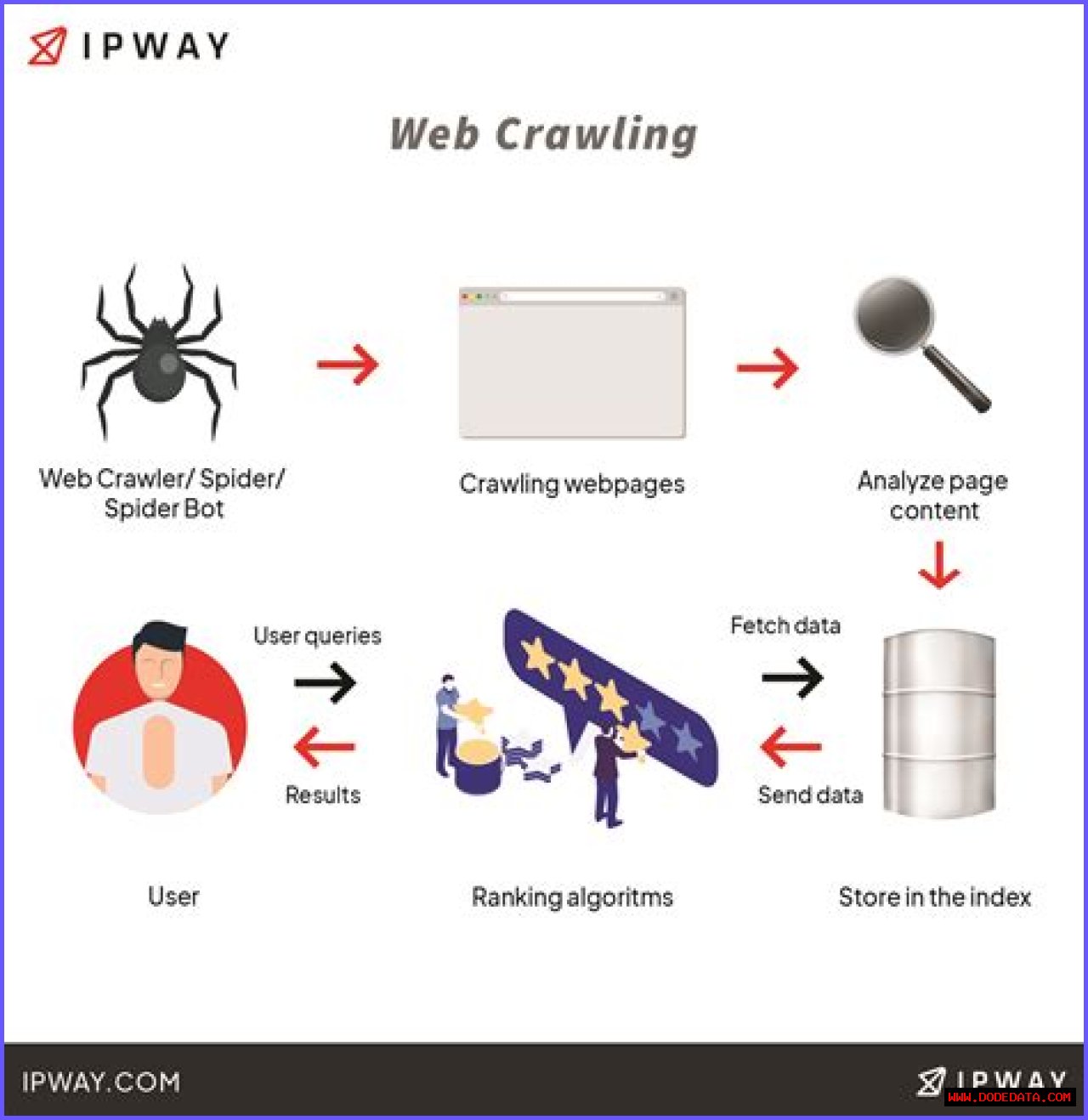 Understanding Spider Bots: The Key To Web Crawling And SEO