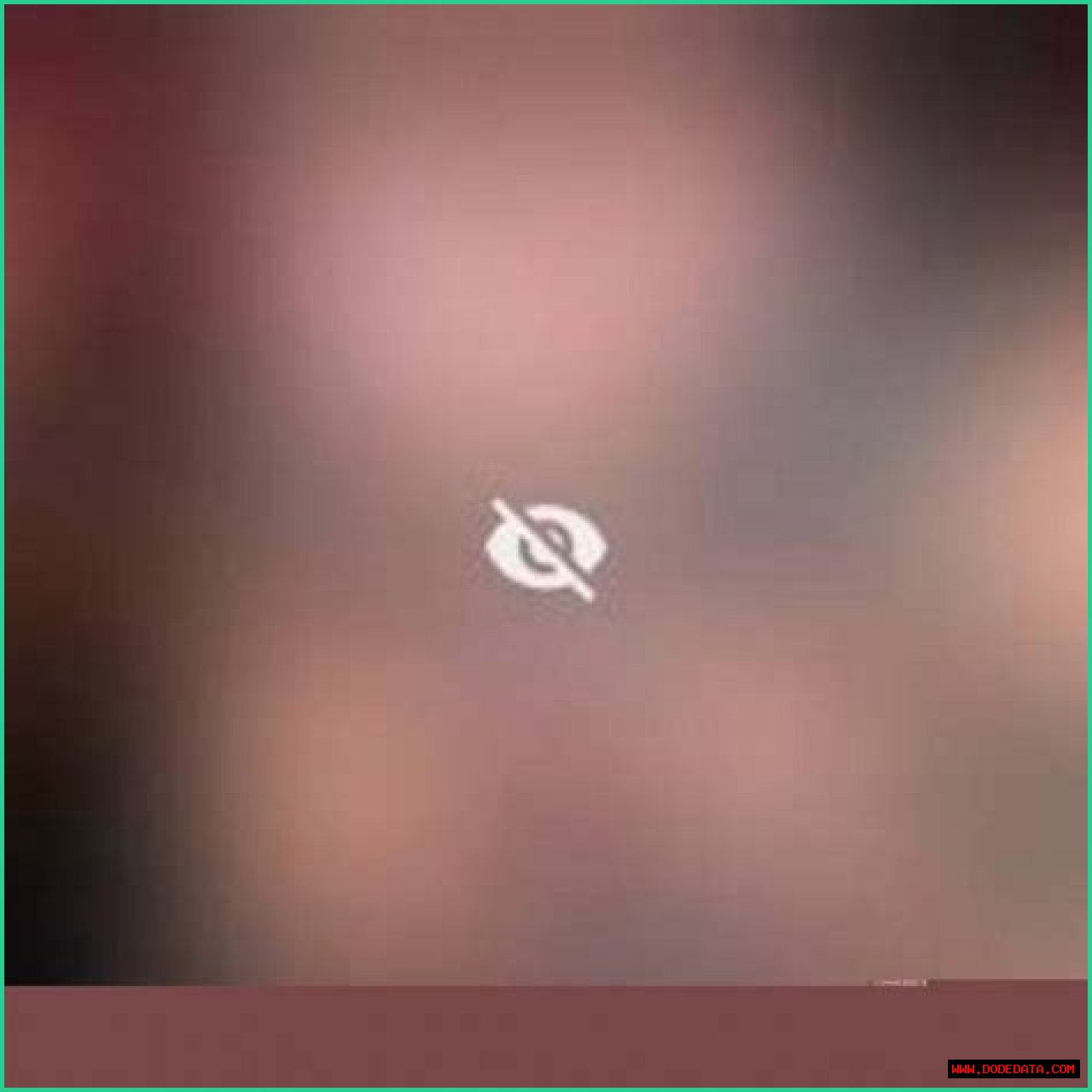 Unraveling The Romance: Is Sophie Rain Dating NLE?