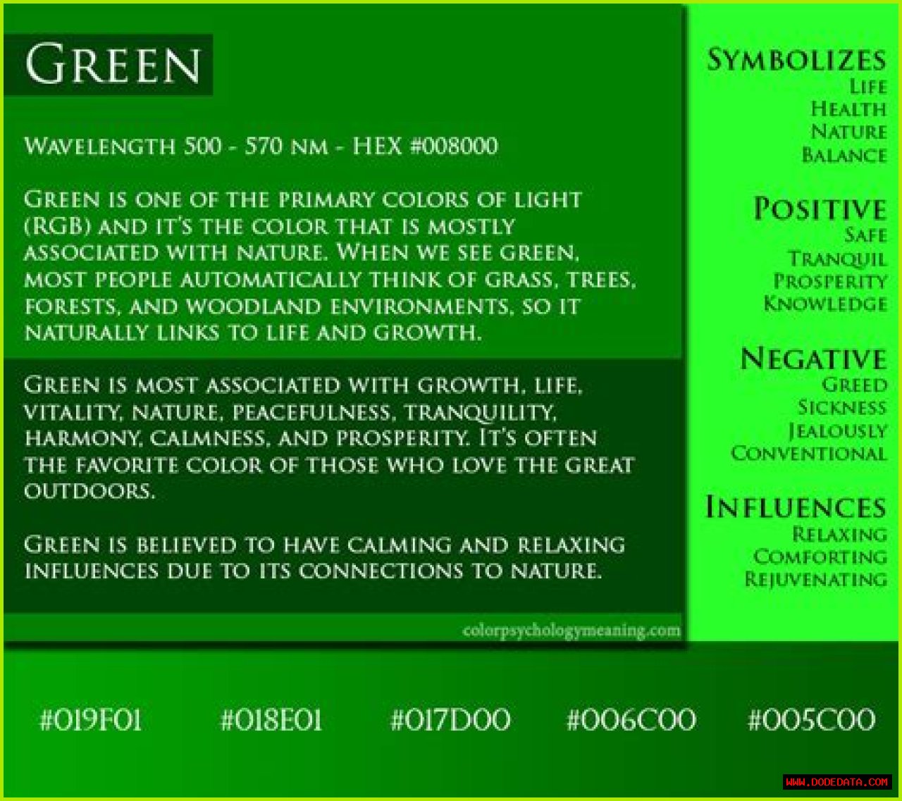 Unveiling The Significance: The Meaning Of Green Colour In Flags